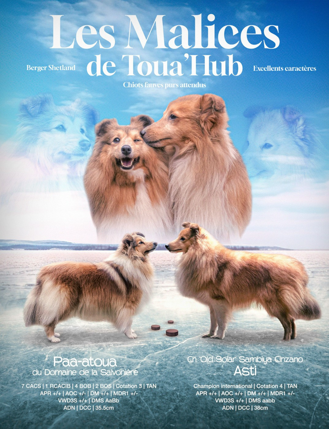 ✨ Révélation du mariage ! ✨