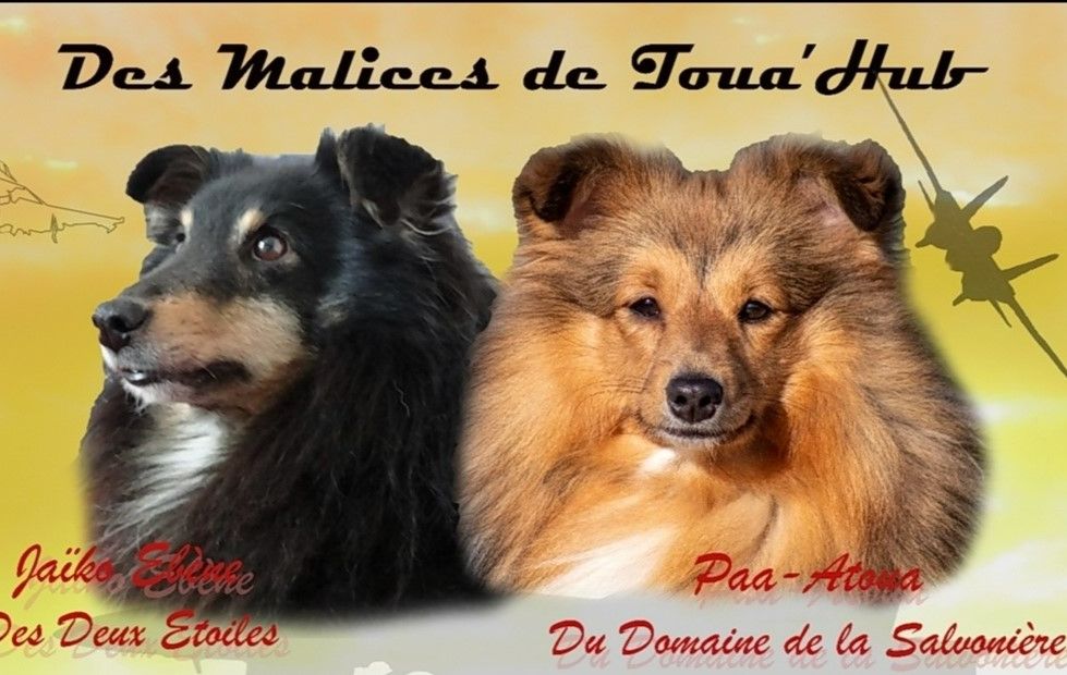 Bébés 2022